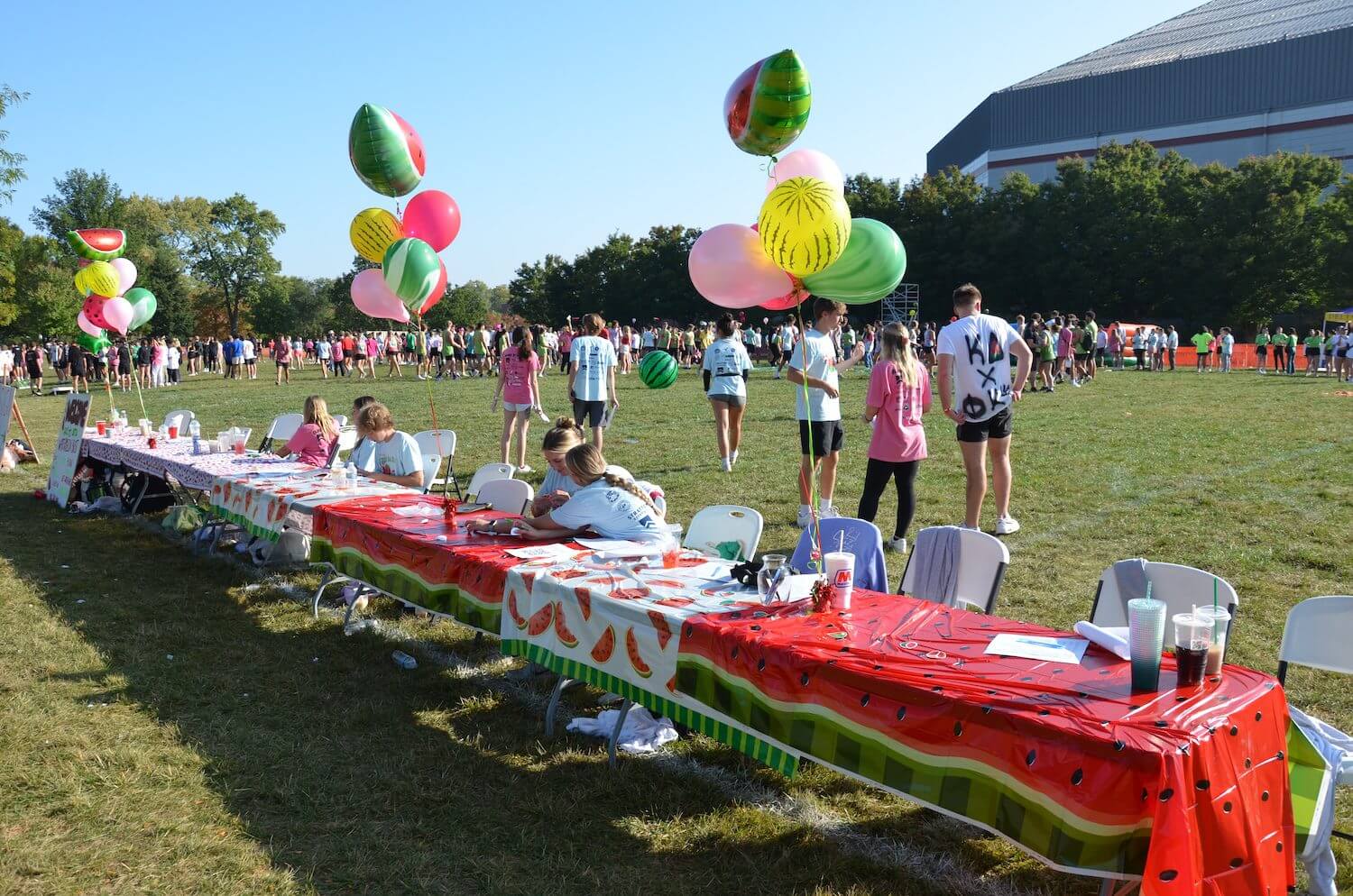 Outdoor event with festive table and balloons.
